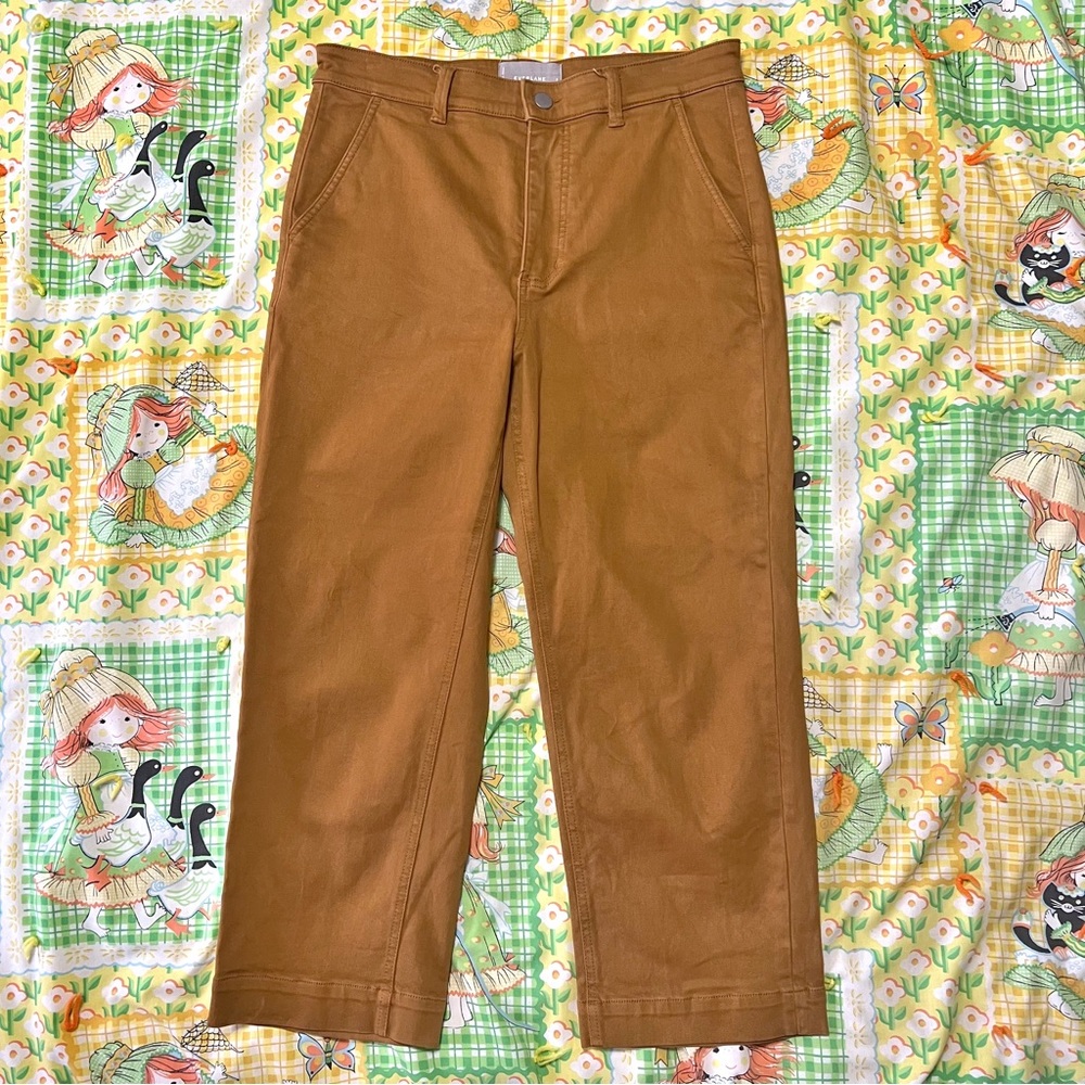 Everlane Cropped Straight Short Pants 8